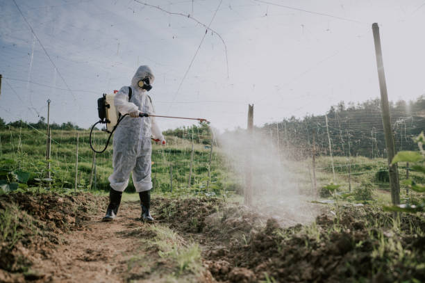 Best Commercial Pest Control Services  in Rolla, ND