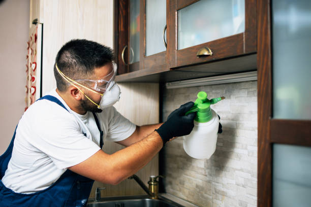 Best Emergency Pest Control  in Rolla, ND
