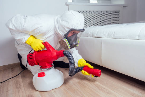 Best Bed Bug Extermination  in Rolla, ND