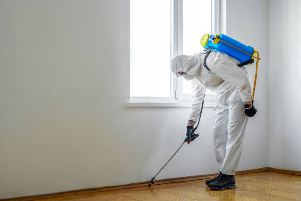Best Local Pest Control Services  in Rolla, ND