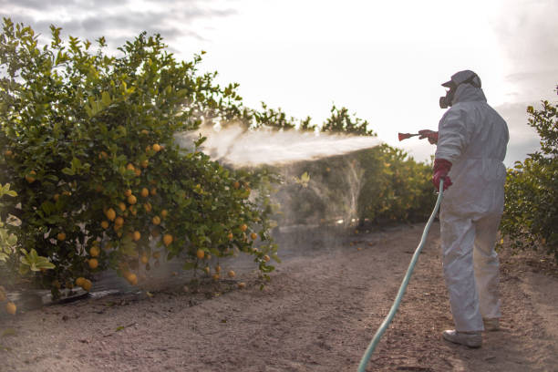Best Pest Inspection Near Me  in Rolla, ND