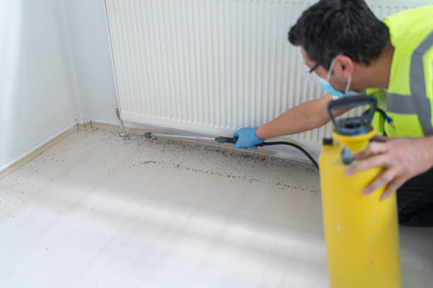 Best Affordable Exterminators  in Rolla, ND