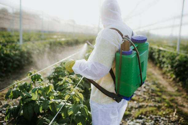 Best Cockroach Control Services  in Rolla, ND